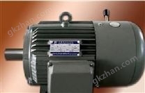 YVFE3系列高效變頻電機