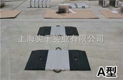 SCS便攜式稱(chēng)重儀‖價(jià)格‖便攜式稱(chēng)重儀