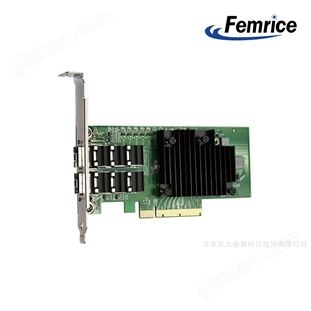 飛邁瑞克國產網迅萬兆雙光口網卡