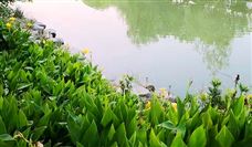 �ػ���������ʯ�� 5G��AIΪ���q�������ϿƼ�֮��