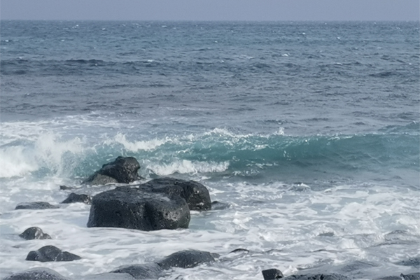 智慧海事“危貨智審”智能體重磅發(fā)布 亮相第四屆北京人工智能產(chǎn)業(yè)創(chuàng)新大會(huì)