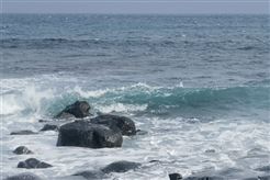 智慧海事“危货智审”智能体重磅发布 亮相AI盛会