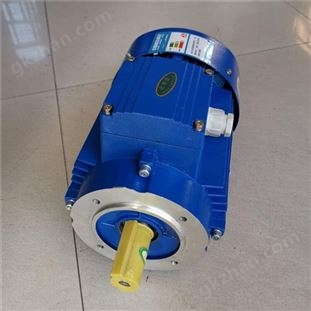 紫光工業(yè)電機(jī)