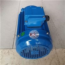 中国台湾富田电机三项感应卧式电机