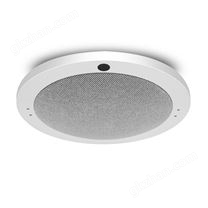 IRT-800 陣列定向無感擴聲麥克風