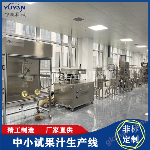 果蔬汁飲料復合中小試生產(chǎn)線