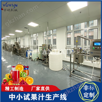 果蔬汁飲料復(fù)合中小試生產(chǎn)線