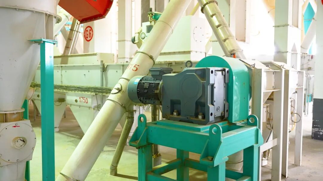 98d6186cac0e8cfa8f3f2ad4a7b45952