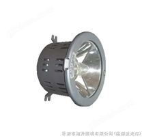 C-NFC9110/NW1高效顶灯，NFC9110/NW1高效顶灯