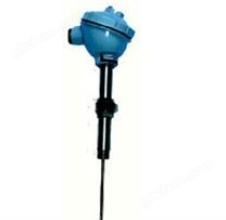 活絡(luò)管接頭式熱電阻WZP-53/WZC-53