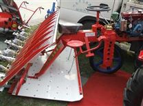 濰泰牌6行水稻插秧機(jī)