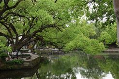 杨慧丽：深化智能制造应用，推动橡胶轮胎产业价值跃升